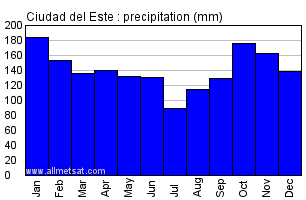 Ciudad del Este Paraguay Annual Yearly Monthly Rainfall Graph